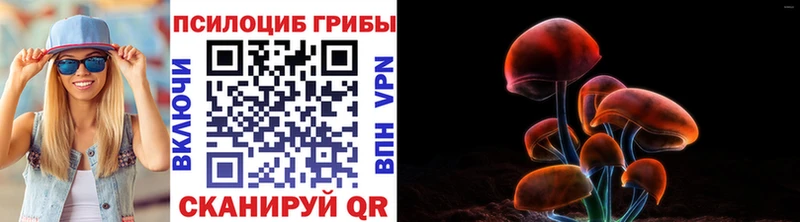 где найти наркотики kraken сайт Псилоцибиновые грибы Cubensis Магадан